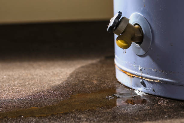 Best Carpet and Upholstery Water Damage Restoration in Freeland, WA